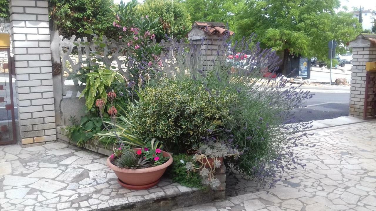 Apartment Lili Poreč Exterior foto